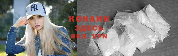 mdpv Бородино