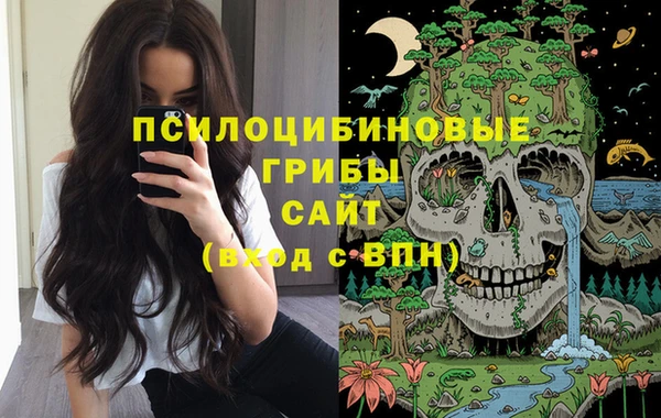 COCAINE Богородск